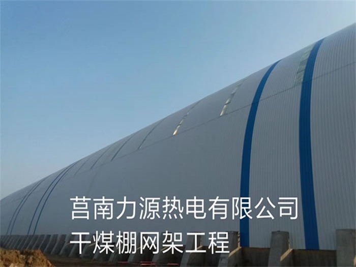 南岸力源热电有限公司干煤棚网架工程